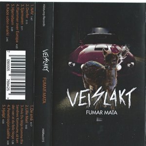 Fumar Mata