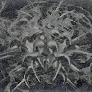 toxicspikeback 的头像