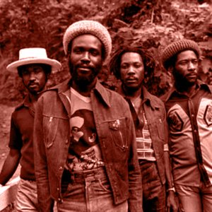 The Wailing Souls 的头像