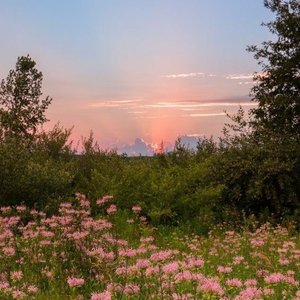 It’s That Time Again - Single