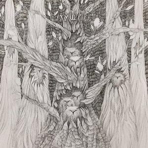 Light Owls