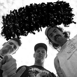 More Maggots Than Carcass 的头像