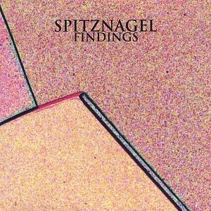 Findings