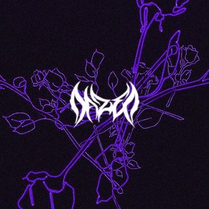 Collider / Stray