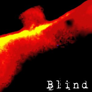 Blind