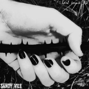 Avatar for Sandy Vile