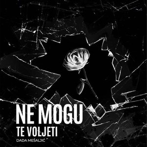 Ne mogu te voljeti