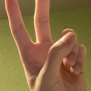 のとを 的头像