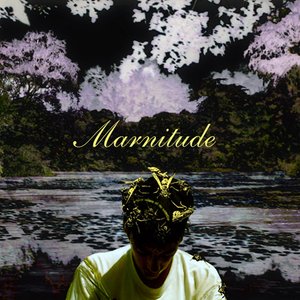 Изображение для 'Marnitude s/t'