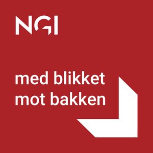 Image pour 'NGI - Med blikket mot bakken'