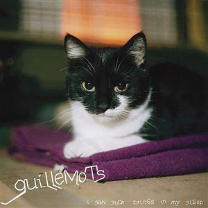 Guillemots - I Saw Such Things in my Sleep - Zortam Music