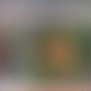 kindtree 的头像