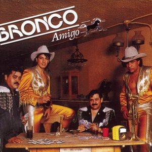 Amigo Bronco