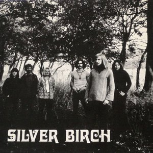 Silver Birch