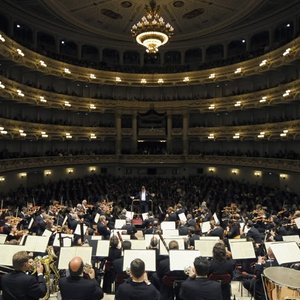 Saxony State Orchestra 的头像