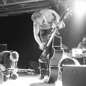 Ringlets Trio 的头像