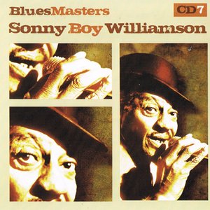 Blues Masters