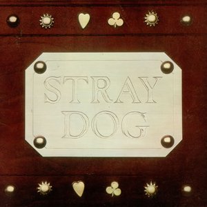 Image for 'Stray Dog'