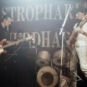 Avatar for Stropharia Merdaria