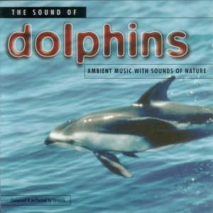 The Sound of Dolphins