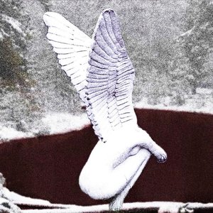 weeping angels