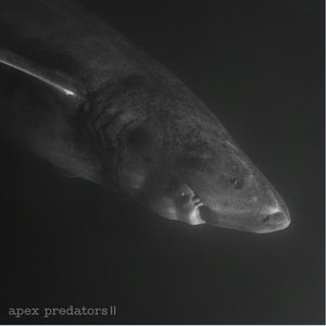 apex predators II