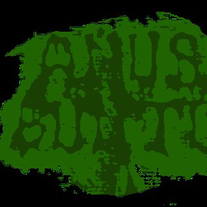 Avatar for Anus Buntu