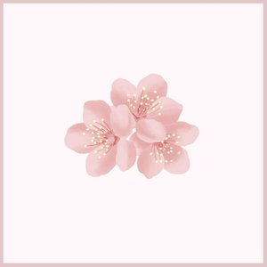 Sweet Boi - Single