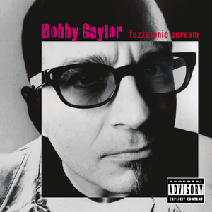 Bobby Gaylor - Bobby Gaylor - Suicide Lyrics - Zortam Music