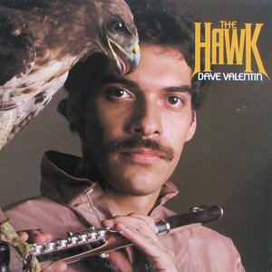 Image for 'The Hawk'