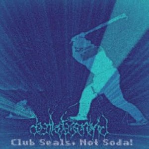 Club Seals, Not Soda!