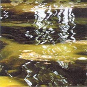 Substance Organic