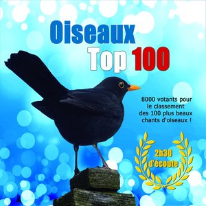 Oiseaux Top 100 (Les 100 plus beaux chants d'oiseaux)