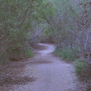 winding
