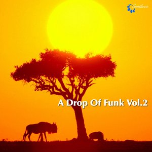 A Drop of Funk, Vol. 2