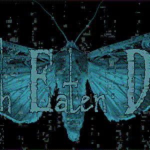Image for 'Moth Eaten Dream'