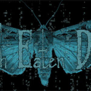 Awatar dla Moth Eaten Dream