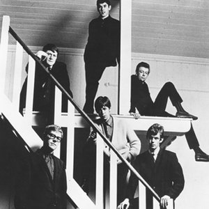 The Stormsville Shakers 的头像