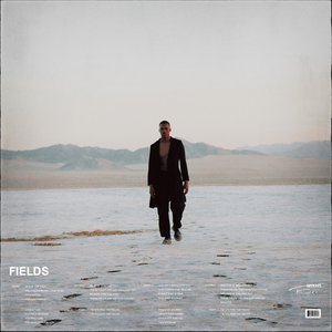 “Fields”的封面