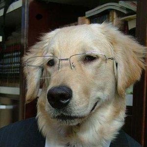 John De Maio 的头像