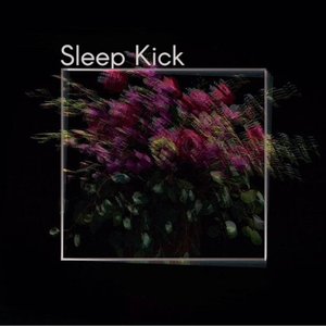 Sleep Kick