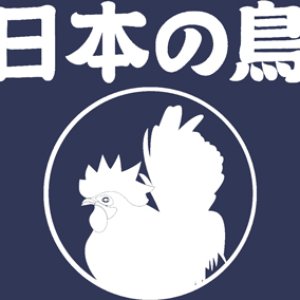 Ecobag / 13 Birds in a Bag +1