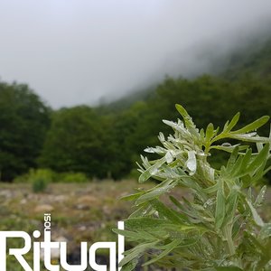 Ritual