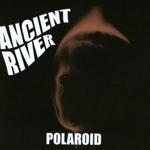 Polaroid