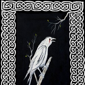 “Tears of White Raven”的封面