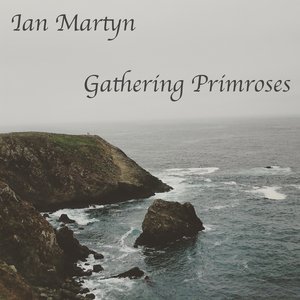 “Gathering Primroses”的封面