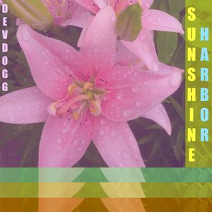 Sunshine Harbor