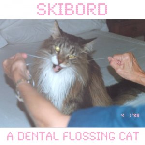 A Dental Flossing Cat