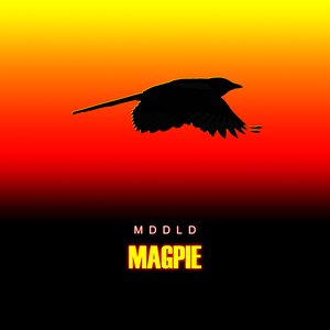 “MAGPIE”的封面