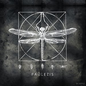 paulezis 的头像